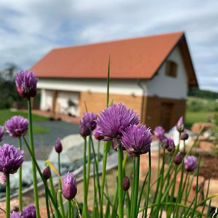 Das Weinstoeckl Inzenhof Екстериор снимка