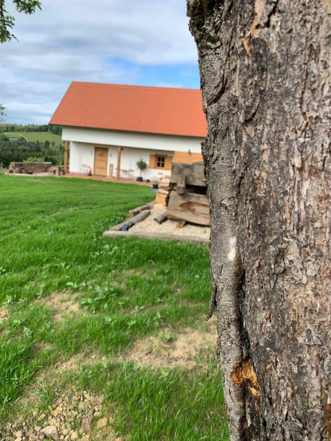 Das Weinstoeckl Inzenhof Екстериор снимка